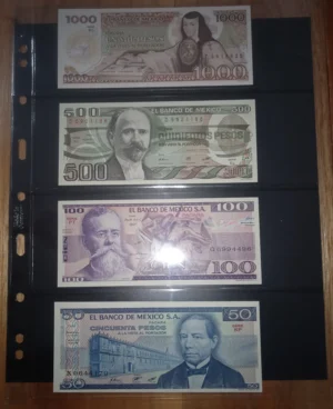 Hoja 4 Divisiones para Billetes Semirrigida GRANDE