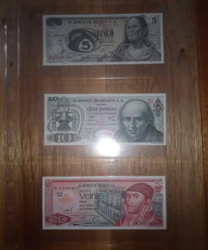 Hoja 3 Divisiones para Billetes Semirrigida GRANDE