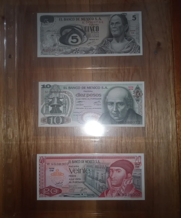 Hoja 3 Divisiones para Billetes Semirrigida GRANDE