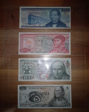 Funda SH312 Sencilla 4 divisiones